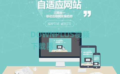 DOWNPLUS视频下载器 DOWNPLUS视频下载器