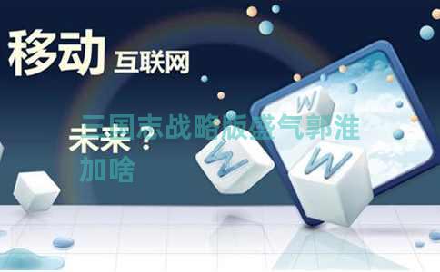 三国志战略版盛气郭淮加啥
