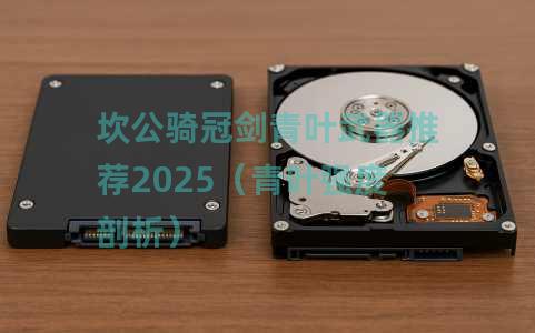 坎公骑冠剑青叶武器推荐2025（青叶强度剖析）