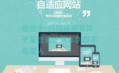 张纪中:拍短视频养孩子是造谣是两车刮蹭不是撞人