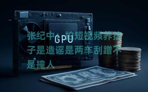 张纪中：拍短视频养孩子是造谣是两车刮蹭不是撞人