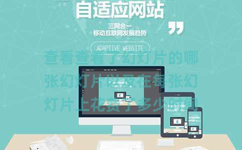 查看查看了幻灯片的哪张幻灯片以及在每张幻灯片上花费了多少时间