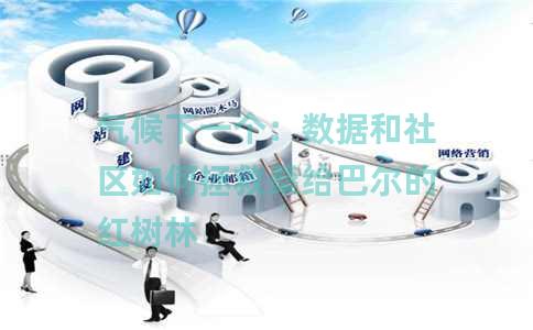 气候下一个：数据和社区如何拯救桑给巴尔的红树林