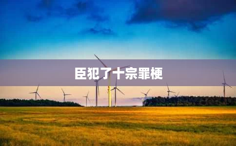 臣犯了十宗罪梗 臣犯了十宗罪梗