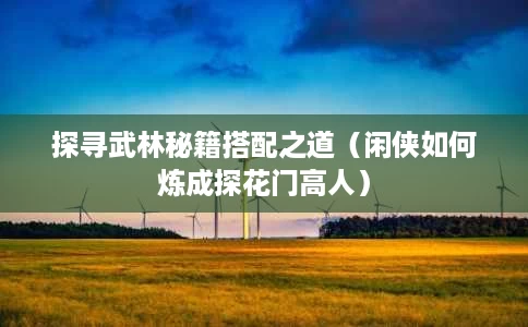 探寻武林秘籍搭配之道(闲侠如何炼成探花门高人) 探寻武林秘籍搭配之道(闲侠如何炼成探花门高人)