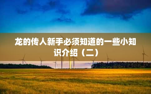 龙的传人新手必须知道的一些小知识介绍(二) 龙的传人新手必须知道的一些小知识介绍(二)