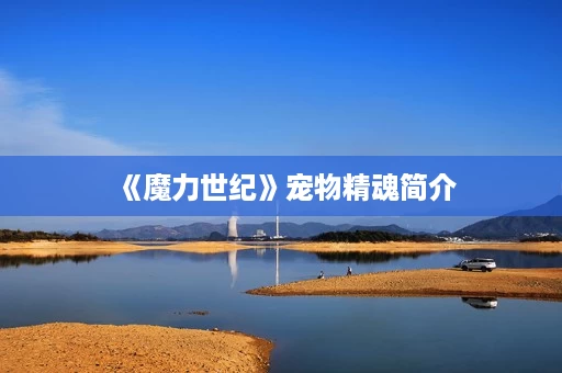 《魔力世纪》宠物精魂简介 《魔力世纪》宠物精魂简介