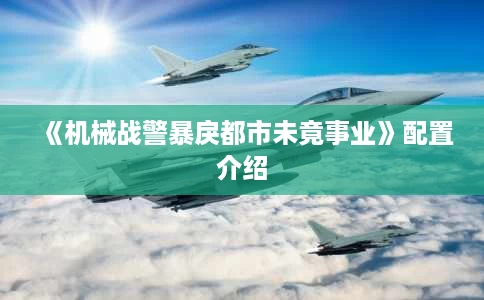 《机械战警暴戾都市未竟事业》配置介绍 《机械战警暴戾都市未竟事业》配置介绍