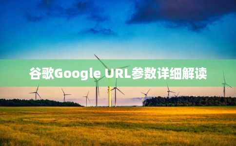 谷歌Google URL参数详细解读 谷歌Google URL参数详细解读
