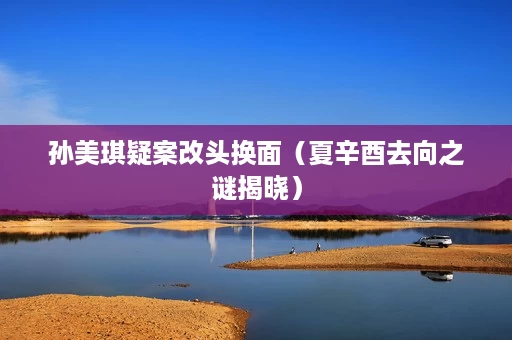 孙美琪疑案改头换面(夏辛酉去向之谜揭晓) 孙美琪疑案改头换面(夏辛酉去向之谜揭晓)