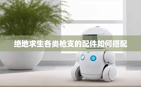 绝地求生各类枪支的配件如何搭配 绝地求生各类枪支的配件如何搭配