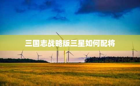 三国志战略版三星如何配将 三国志战略版三星如何配将