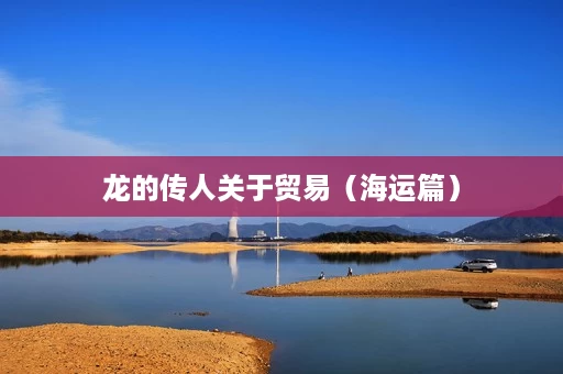 龙的传人关于贸易(海运篇) 龙的传人关于贸易(海运篇)