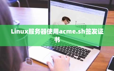 Linux服务器使用acme.sh签发证书 Linux服务器使用acme.sh签发证书