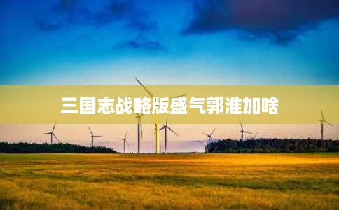 三国志战略版盛气郭淮加啥 三国志战略版盛气郭淮加啥