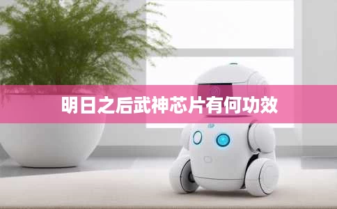 明日之后武神芯片有何功效