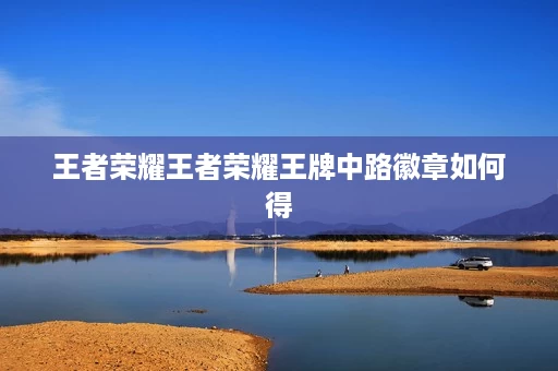 王者荣耀王者荣耀王牌中路徽章如何得 王者荣耀王者荣耀王牌中路徽章如何得