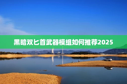 黑暗双匕首武器模组如何推荐2025