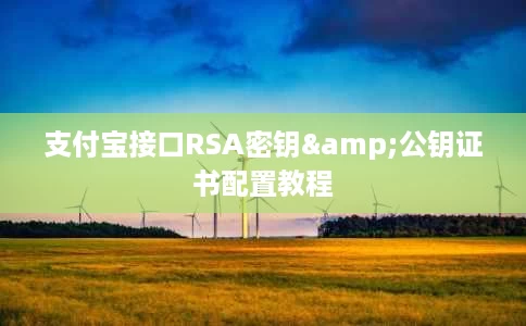 支付宝接口RSA密钥&公钥证书配置教程 支付宝接口RSA密钥&公钥证书配置教程