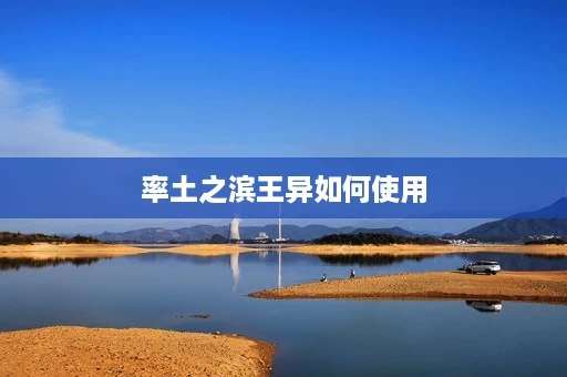 率土之滨王异如何使用 率土之滨王异如何使用