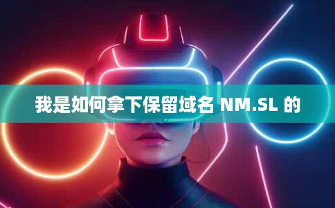 我是如何拿下保留域名 NM.SL 的 我是如何拿下保留域名 NM.SL 的