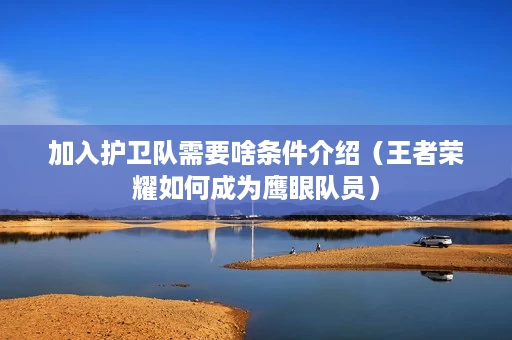 加入护卫队需要啥条件介绍（王者荣耀如何成为鹰眼队员）