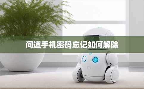 问道手机密码忘记如何解除 问道手机密码忘记如何解除