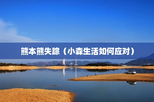 熊本熊失踪(小森生活如何应对) 熊本熊失踪(小森生活如何应对)