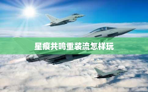 星痕共鸣重装流怎样玩