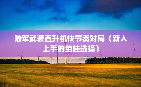 陆军武装直升机快节奏对局(新人上手的绝佳选择) 陆军武装直升机快节奏对局(新人上手的绝佳选择)
