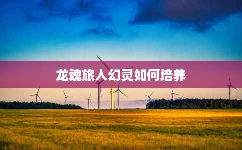 龙魂旅人幻灵如何培养