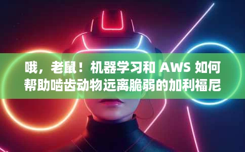 哦,老鼠!机器学习和 AWS 如何帮助啮齿动物远离脆弱的加利福尼亚岛屿 哦,老鼠!机器学习和 AWS 如何帮助啮齿动物远离脆弱的加利福尼亚岛屿