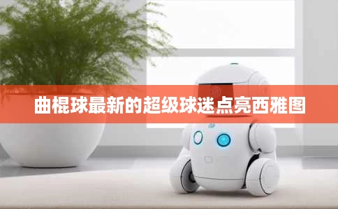 曲棍球最新的超级球迷点亮西雅图 曲棍球最新的超级球迷点亮西雅图