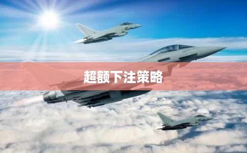 超额下注策略 超额下注策略