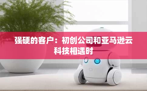 强硬的客户:初创公司和亚马逊云科技相遇时 强硬的客户:初创公司和亚马逊云科技相遇时