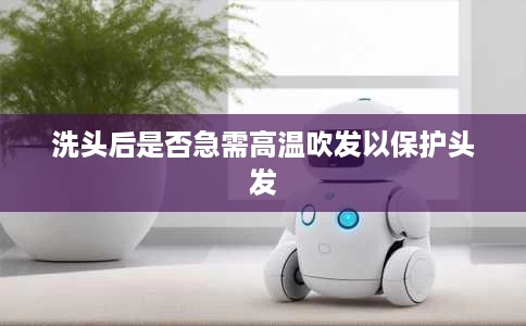 洗头后是否急需高温吹发以保护头发 洗头后是否急需高温吹发以保护头发