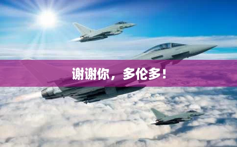 谢谢你，多伦多！