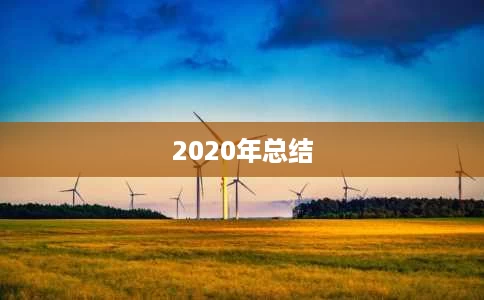 2020年总结 2020年总结