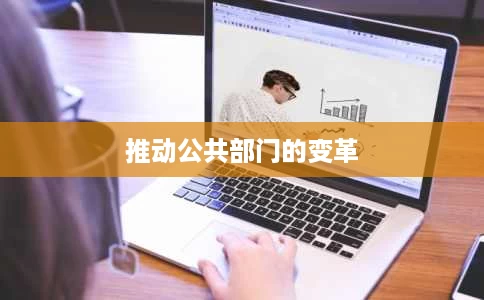 推动公共部门的变革 推动公共部门的变革