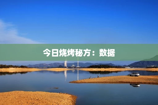 今日烧烤秘方:数据 今日烧烤秘方:数据
