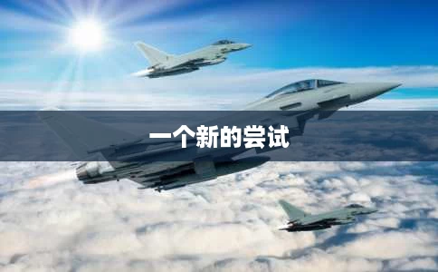 一个新的尝试 一个新的尝试