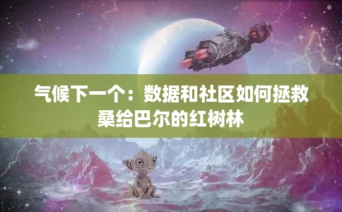 气候下一个:数据和社区如何拯救桑给巴尔的红树林 气候下一个:数据和社区如何拯救桑给巴尔的红树林