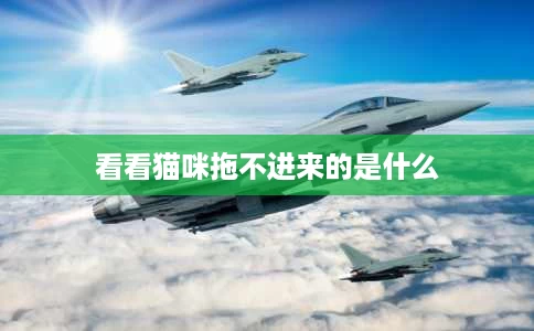 看看猫咪拖不进来的是什么 看看猫咪拖不进来的是什么