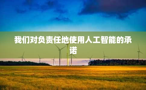 我们对负责任地使用人工智能的承诺 我们对负责任地使用人工智能的承诺