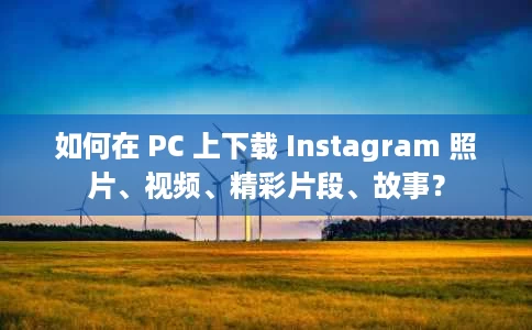 如何在 PC 上下载 Instagram 照片、视频、精彩片段、故事？