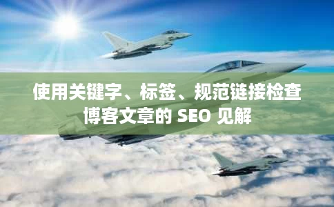 使用关键字、标签、规范链接检查博客文章的 SEO 见解
