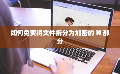 如何免费将文件拆分为加密的 N 部分