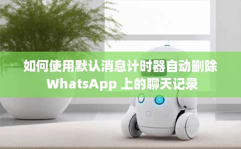 如何使用默认消息计时器自动删除 WhatsApp 上的聊天记录