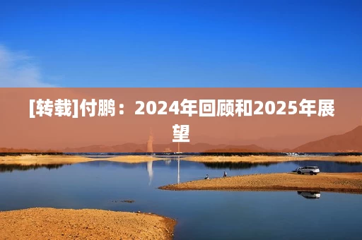 [转载]付鹏：2024年回顾和2025年展望