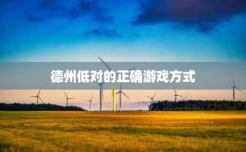 德州低对的正确游戏方式 德州低对的正确游戏方式